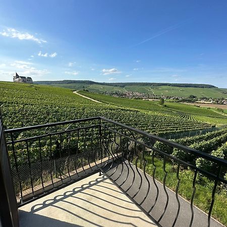Willa Au Coeur Du Terroir Champenois Chavot-Courcourt Zewnętrze zdjęcie