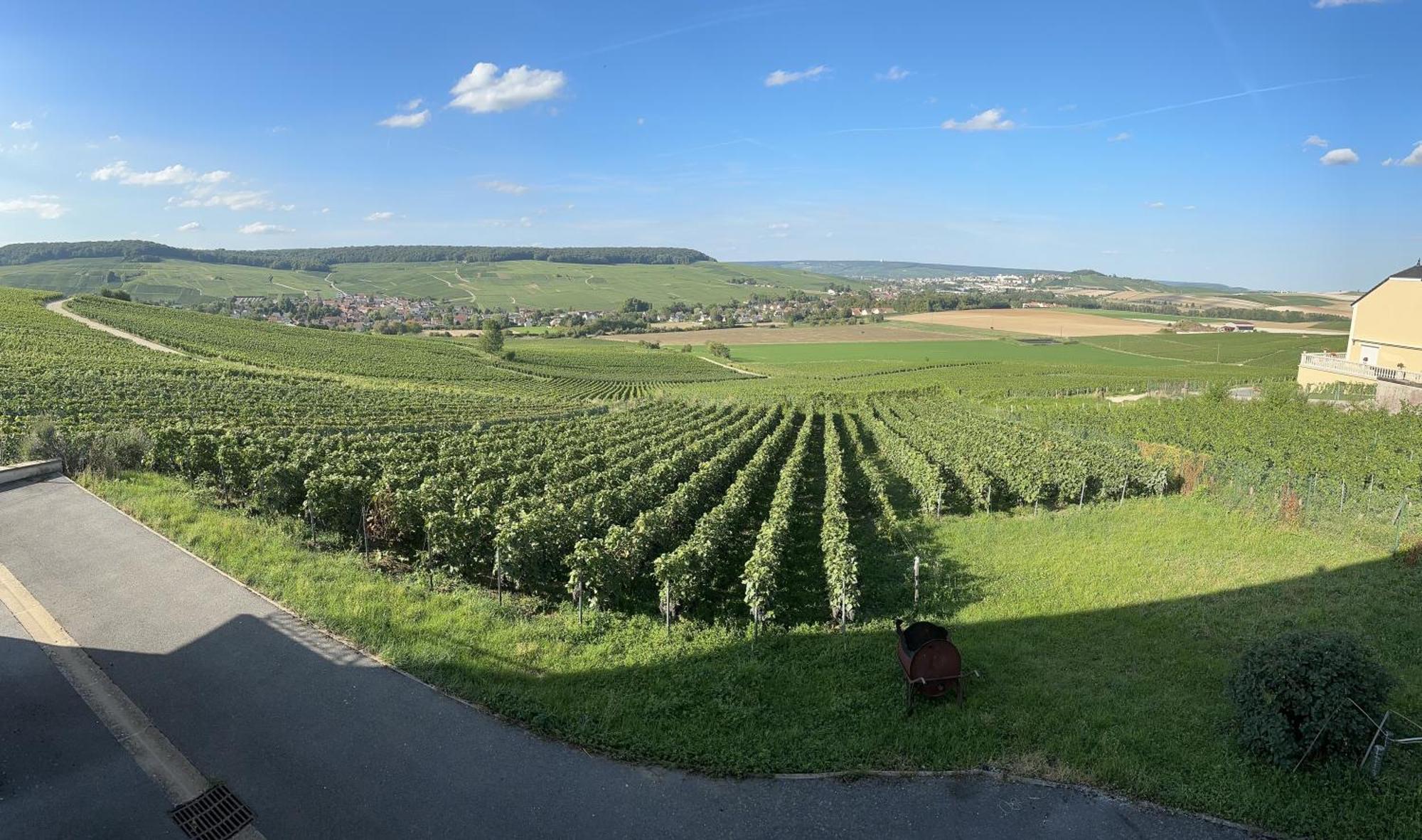 Willa Au Coeur Du Terroir Champenois Chavot-Courcourt Zewnętrze zdjęcie