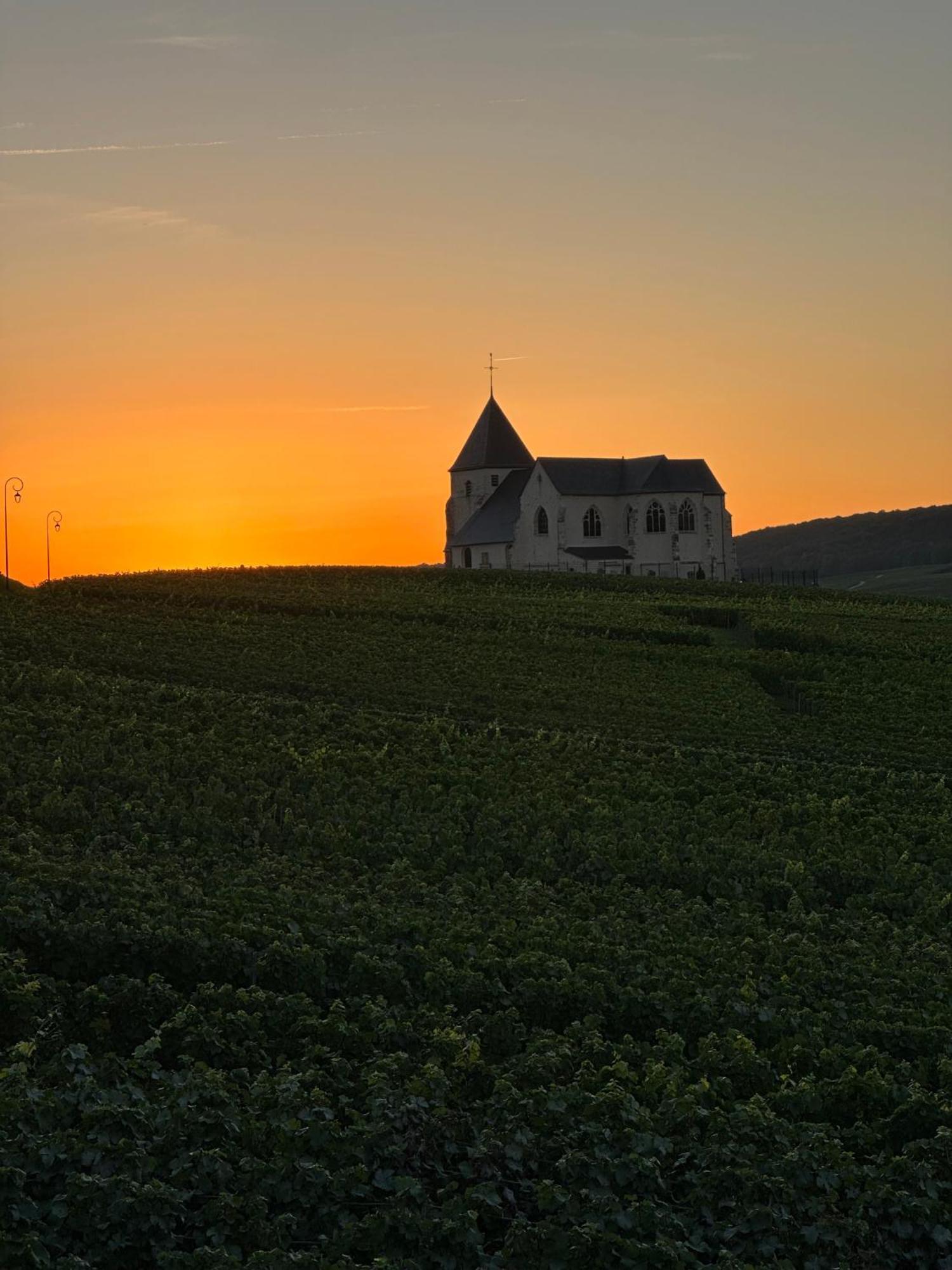 Willa Au Coeur Du Terroir Champenois Chavot-Courcourt Zewnętrze zdjęcie